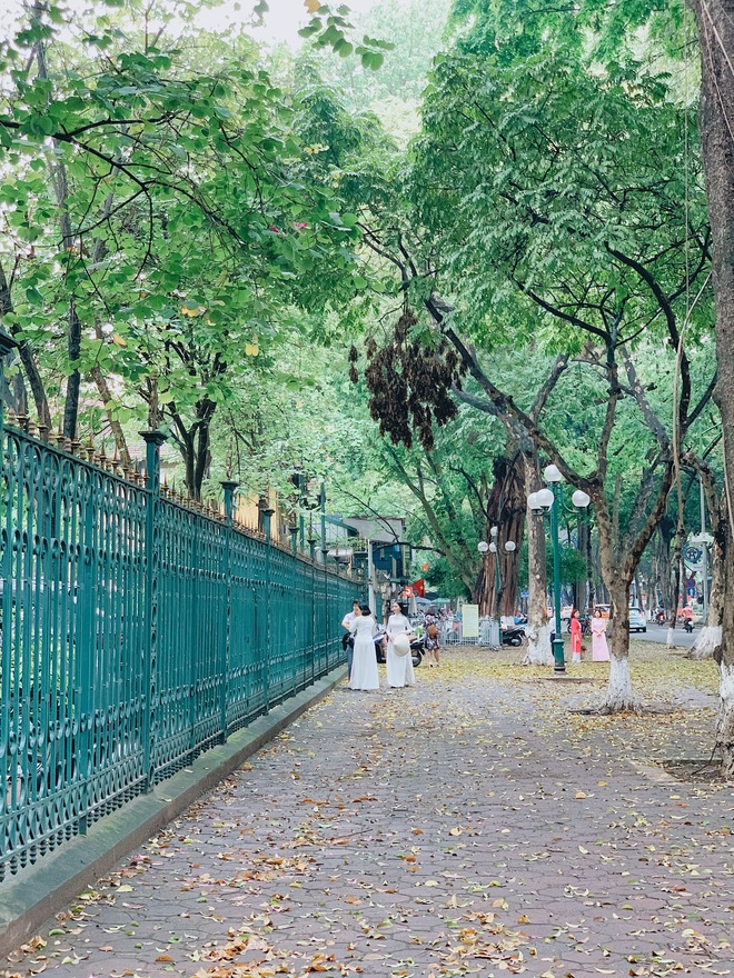 Hà Nội “dậy muộn” trong ngày nghỉ lễ: Thời tiết mát dịu sau cơn mưa đêm, không đi cà phê chill chill thì phí quá- Ảnh 20.