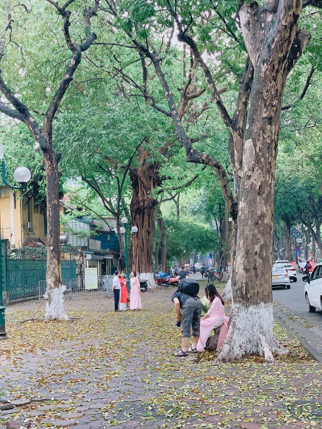 Hà Nội “dậy muộn” trong ngày nghỉ lễ: Thời tiết mát dịu sau cơn mưa đêm, không đi cà phê chill chill thì phí quá- Ảnh 19.