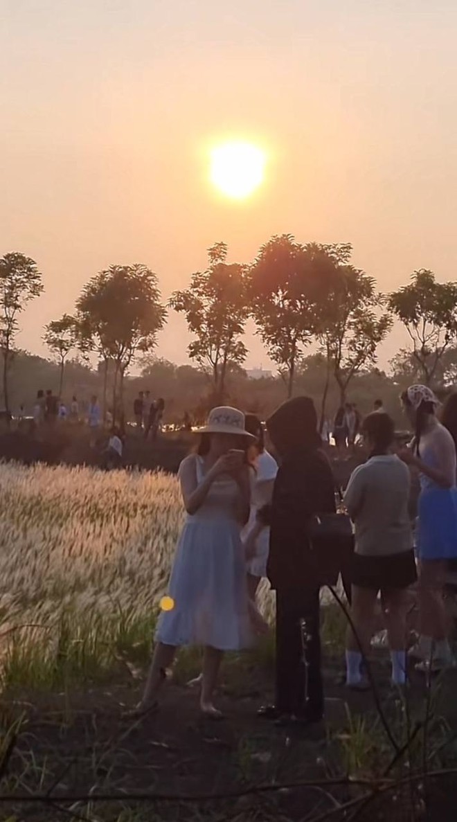 Cập nhật tình hình du lịch dịp lễ khắp mọi miền: Đổ xô ngắm hoa mai anh đào nở kỳ lạ giữa hè Đà Lạt, đảo Phú Quý đông đúc khách- Ảnh 22.