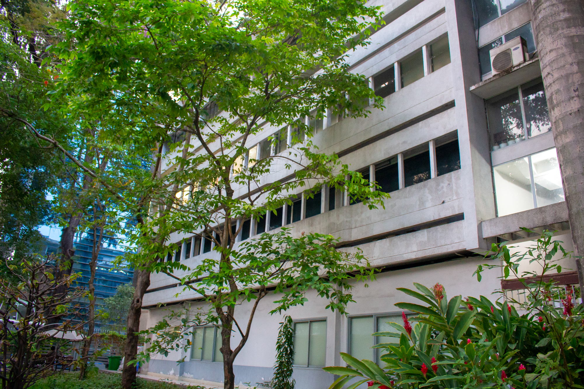 Một trường ĐH được xây theo thiết kế của sinh viên, nằm ngay cạnh hồ con Rùa, tỷ lệ chọi ngành hot lên đến 1/15- Ảnh 4.