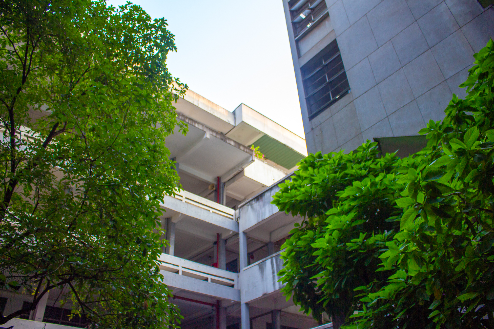 Một trường ĐH được xây theo thiết kế của sinh viên, nằm ngay cạnh hồ con Rùa, tỷ lệ chọi ngành hot lên đến 1/15- Ảnh 8.