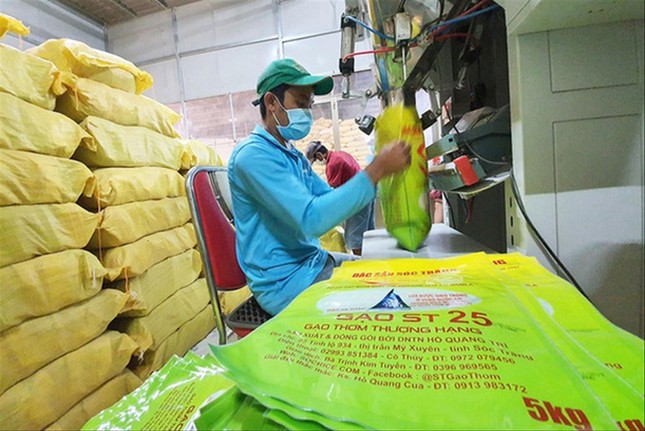 Miễn thuế 9 loại gạo Việt xuất châu Âu, không có ST25- Ảnh 1.