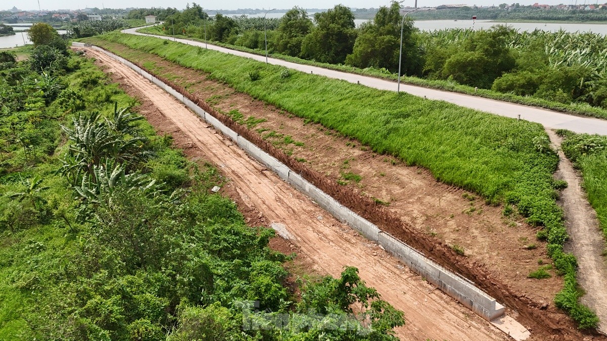 Hà Nội chi gần 400 tỷ đồng cải tạo đê sông Hồng qua đoạn huyện Phú Xuyên- Ảnh 10.