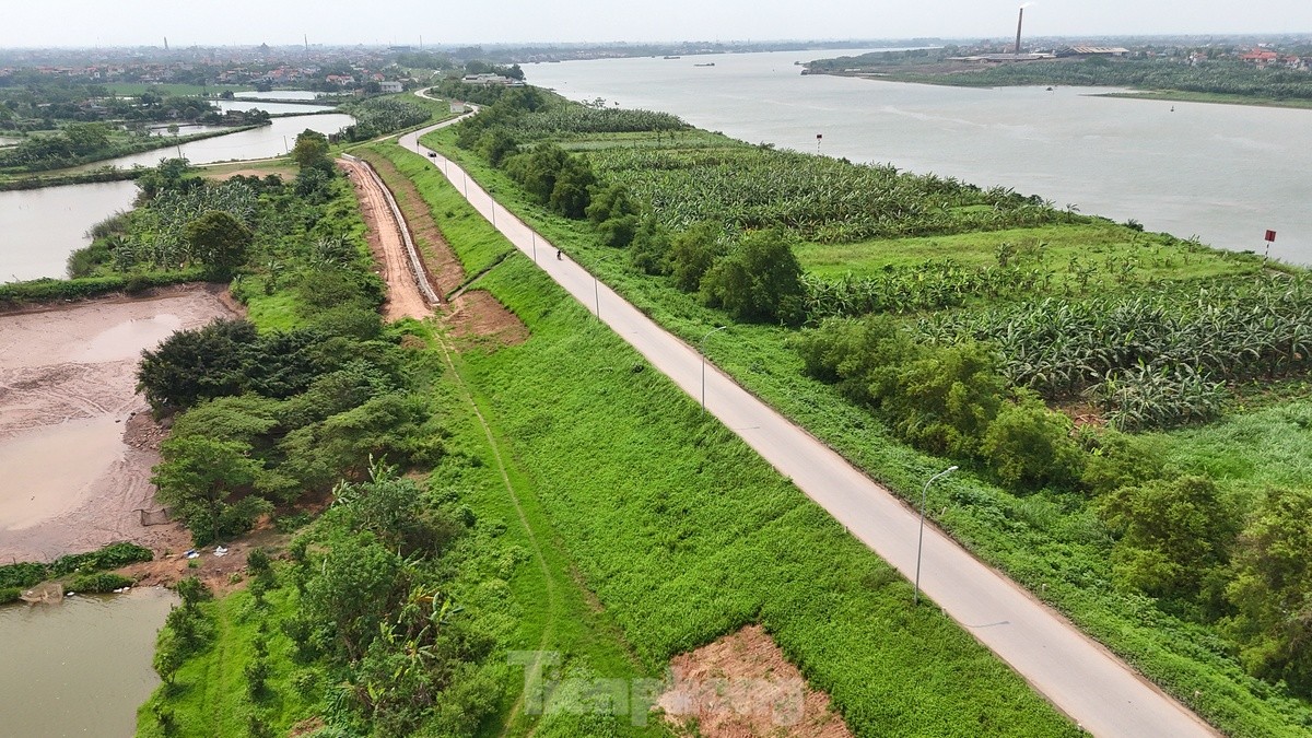 Hà Nội chi gần 400 tỷ đồng cải tạo đê sông Hồng qua đoạn huyện Phú Xuyên- Ảnh 11.