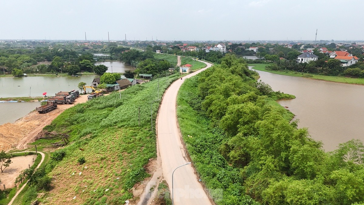 Hà Nội chi gần 400 tỷ đồng cải tạo đê sông Hồng qua đoạn huyện Phú Xuyên- Ảnh 13.