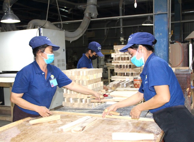 Sản phẩm gỗ giả xuất xứ Việt Nam: Ảnh hưởng đến doanh nghiệp- Ảnh 1.