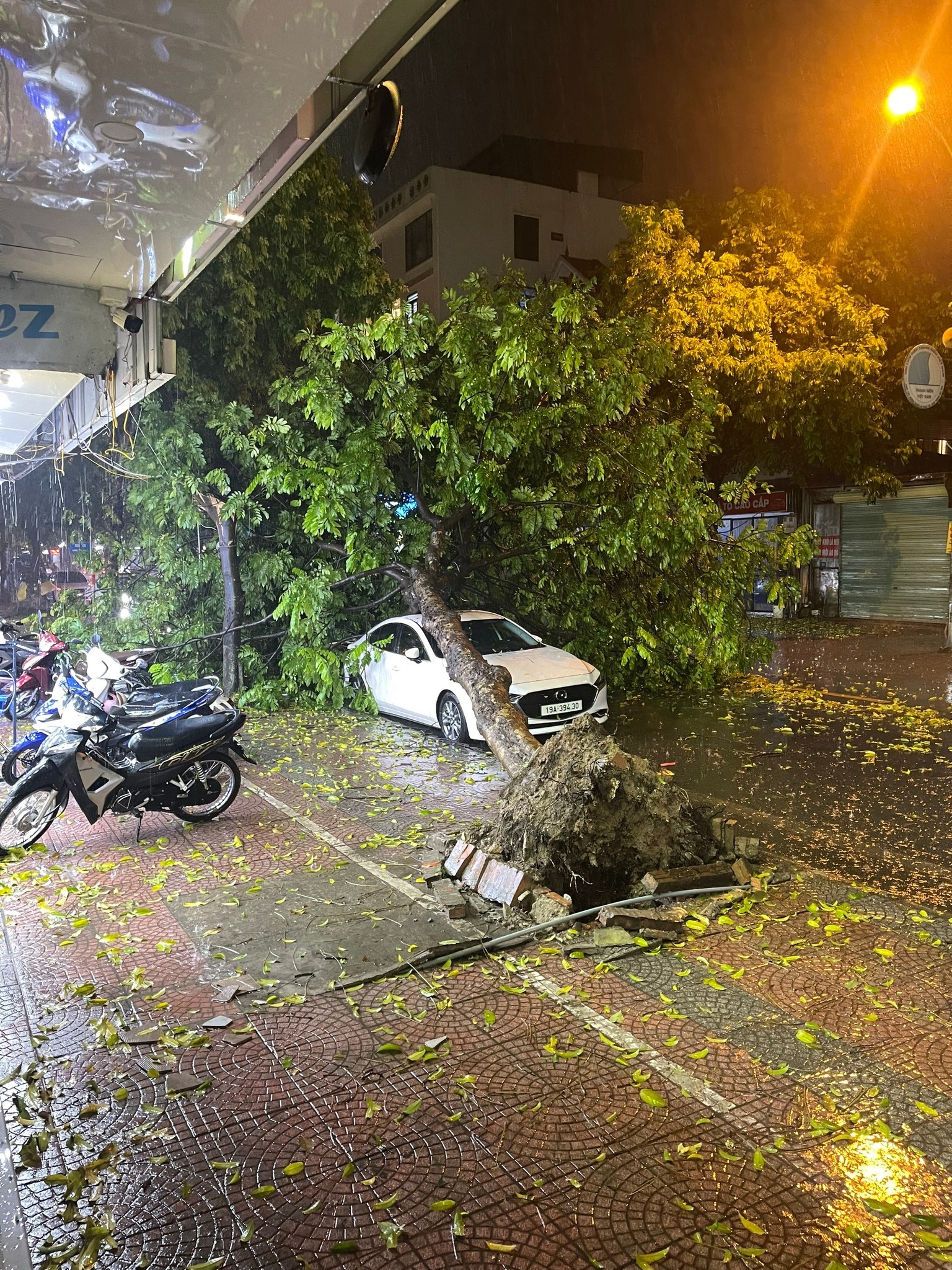 Cây đổ trên nhiều tuyến phố Hà Nội sau trận mưa lớn, đoạn clip khiến tất cả xôn xao- Ảnh 1.
