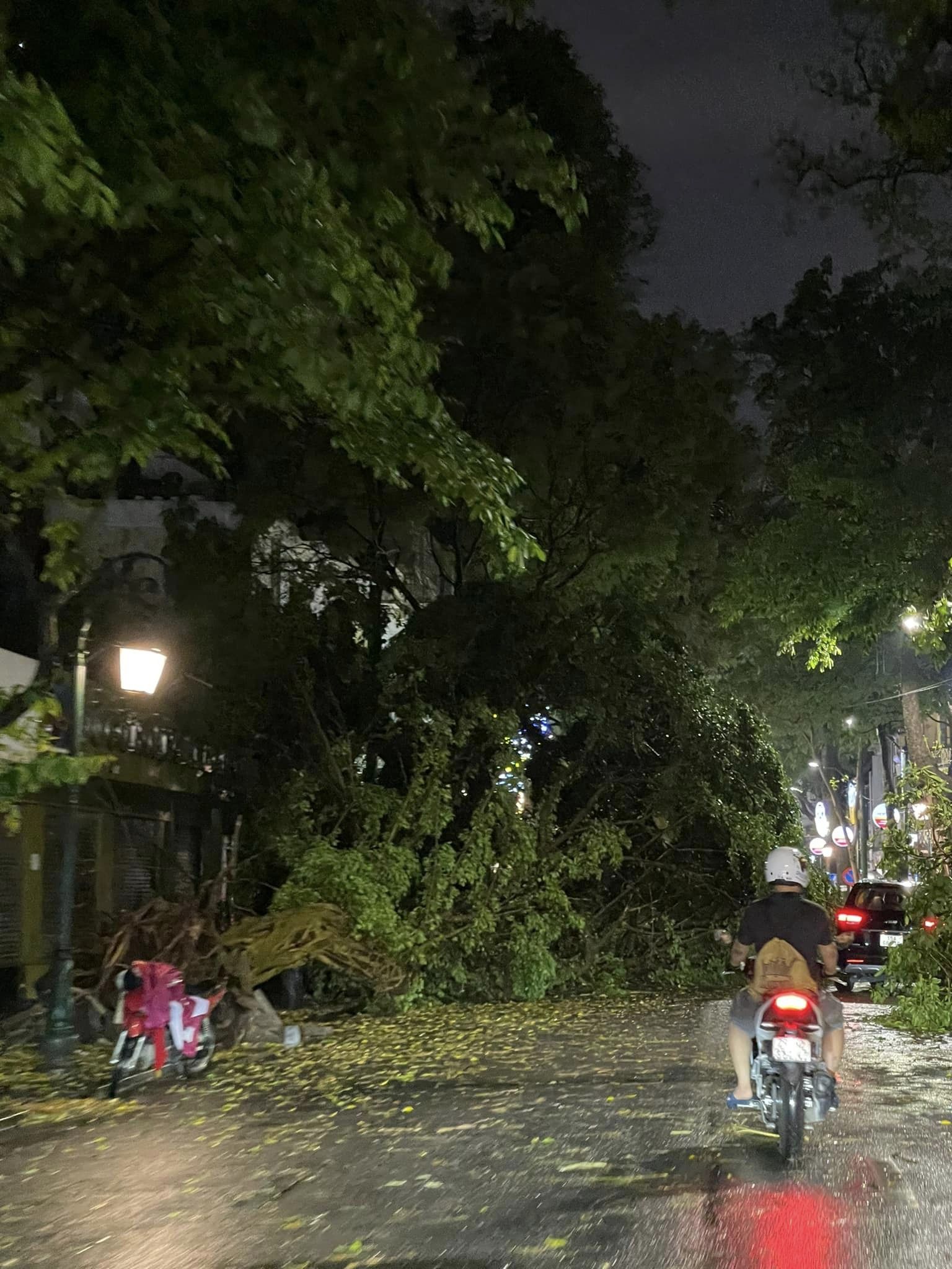 Cây đổ trên nhiều tuyến phố Hà Nội sau trận mưa lớn, đoạn clip khiến tất cả xôn xao- Ảnh 3.