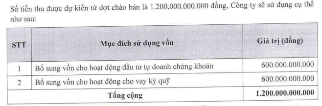 Chứng khoán Nhất Việt có nữ Chủ tịch HĐQT, dự kiến chào bán 120 triệu cổ phiếu- Ảnh 1.