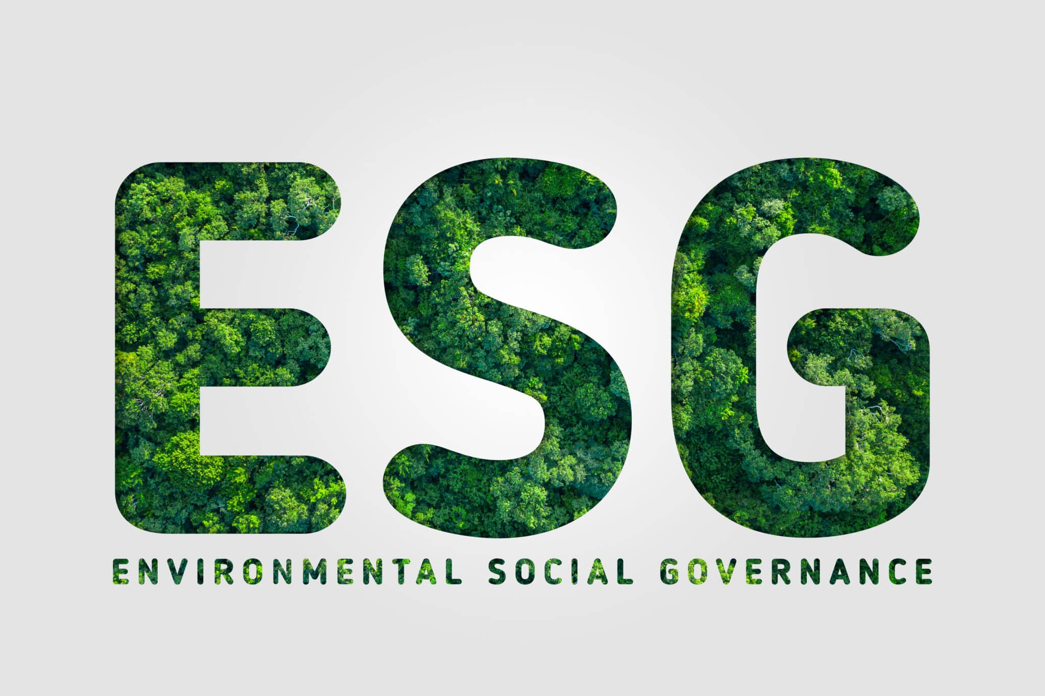 ESG: Sân chơi của những doanh nghiệp lớn hay mục tiêu khả thi dành cho tất cả các đơn vị kinh doanh- Ảnh 1.