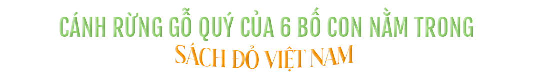 6 bố con mang cơm nắm dắt díu nhau vào rừng - 20 năm sau có 'kho báu' bạt ngàn hàng trăm tỷ đồng để đời- Ảnh 11.