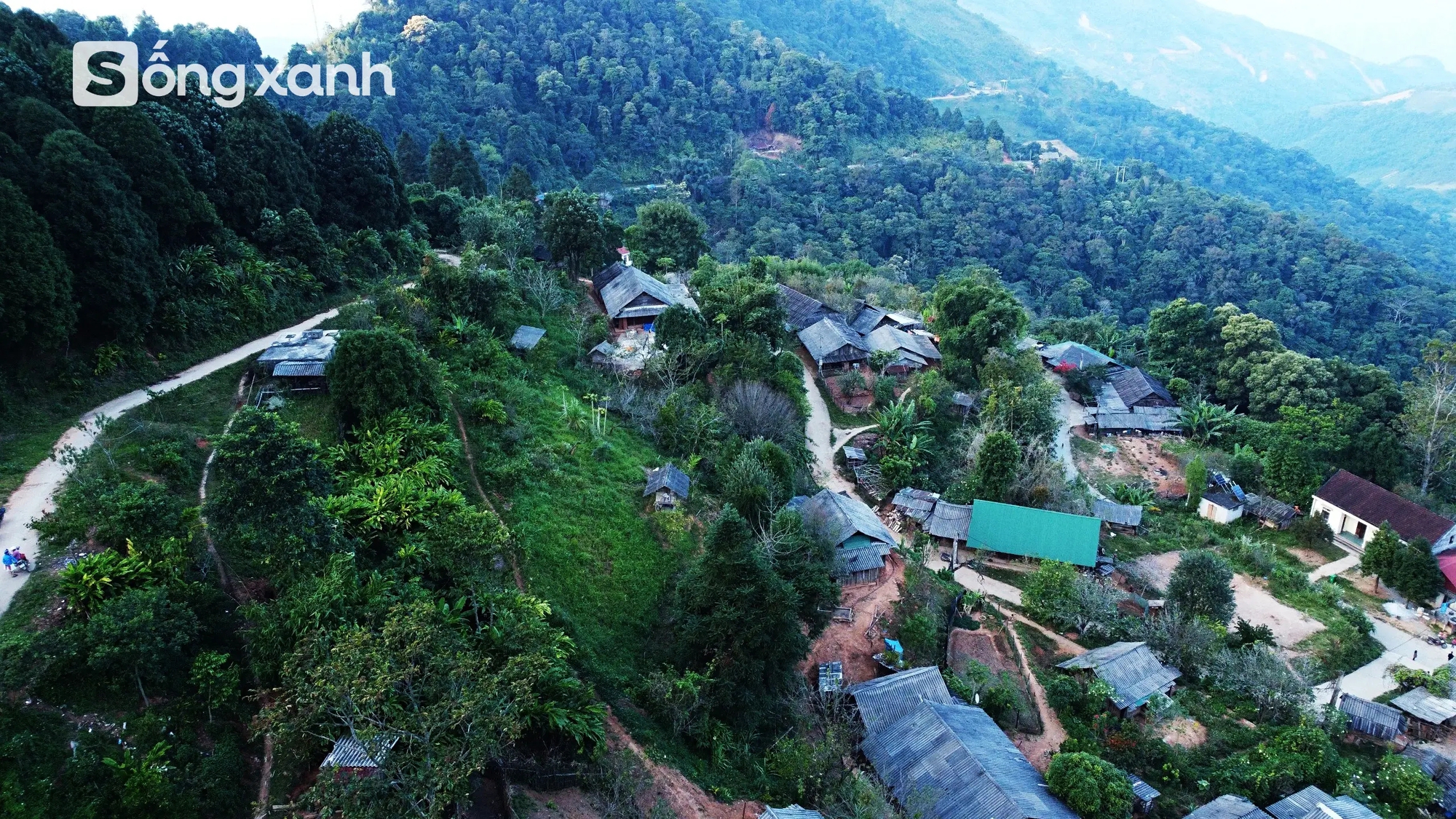 6 bố con mang cơm nắm dắt díu nhau vào rừng - 20 năm sau có 'kho báu' bạt ngàn hàng trăm tỷ đồng để đời- Ảnh 7.