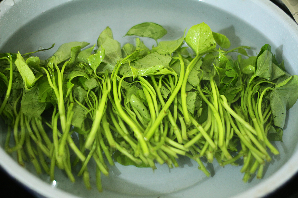 2 loại rau quý được người Nhật ví như ''thuốc trường thọ'' và ''lá hồi sinh'': Ở Việt Nam trồng đầy vườn, ăn không lo hết- Ảnh 3.