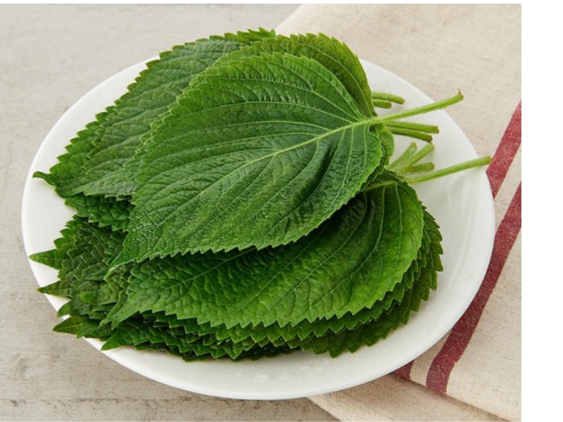 2 loại rau quý được người Nhật ví như ''thuốc trường thọ'' và ''lá hồi sinh'': Ở Việt Nam trồng đầy vườn, ăn không lo hết- Ảnh 2.