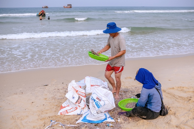 Một bãi biển cát trắng hoang sơ chỉ cách trung tâm 7km, được dự đoán là 