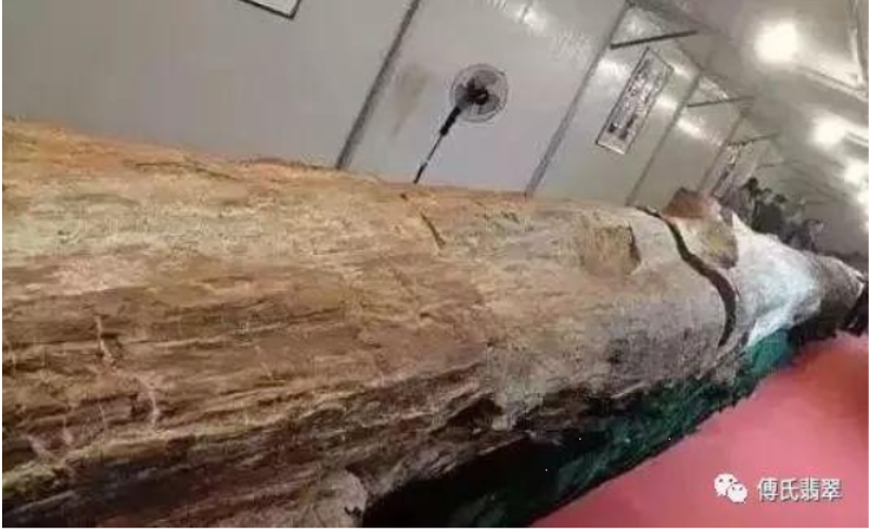 Loại gỗ tuổi thọ hàng triệu năm, đứng sau kim cương: Giá hơn 600 tỷ đồng, Việt Nam có một khối 8 tấn- Ảnh 4.