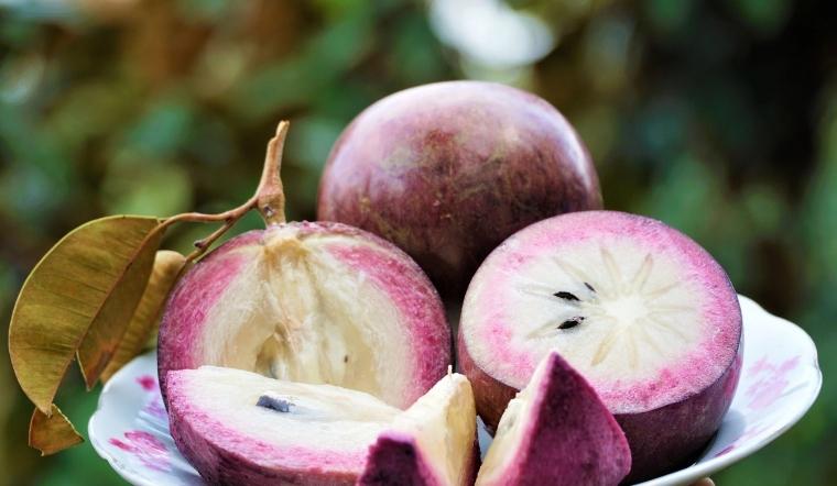 4. Lợi ích sức khỏe khi ăn vú sữa