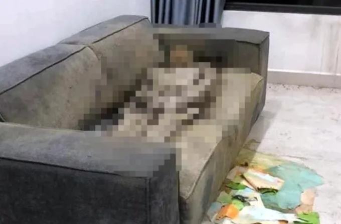 Vụ thi thể khô trên ghế sofa ở Hà Nội: Hé lộ nhiều tình tiết bất ngờ, xe ô tô của nạn nhân biến mất- Ảnh 1.