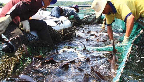 Kho báu ngoài khơi của Việt Nam được 2/3 thế giới săn đón: Thu hơn 400 triệu USD trong quý 1, Mỹ, Trung Quốc chốt đơn nhiều nhất- Ảnh 1.
