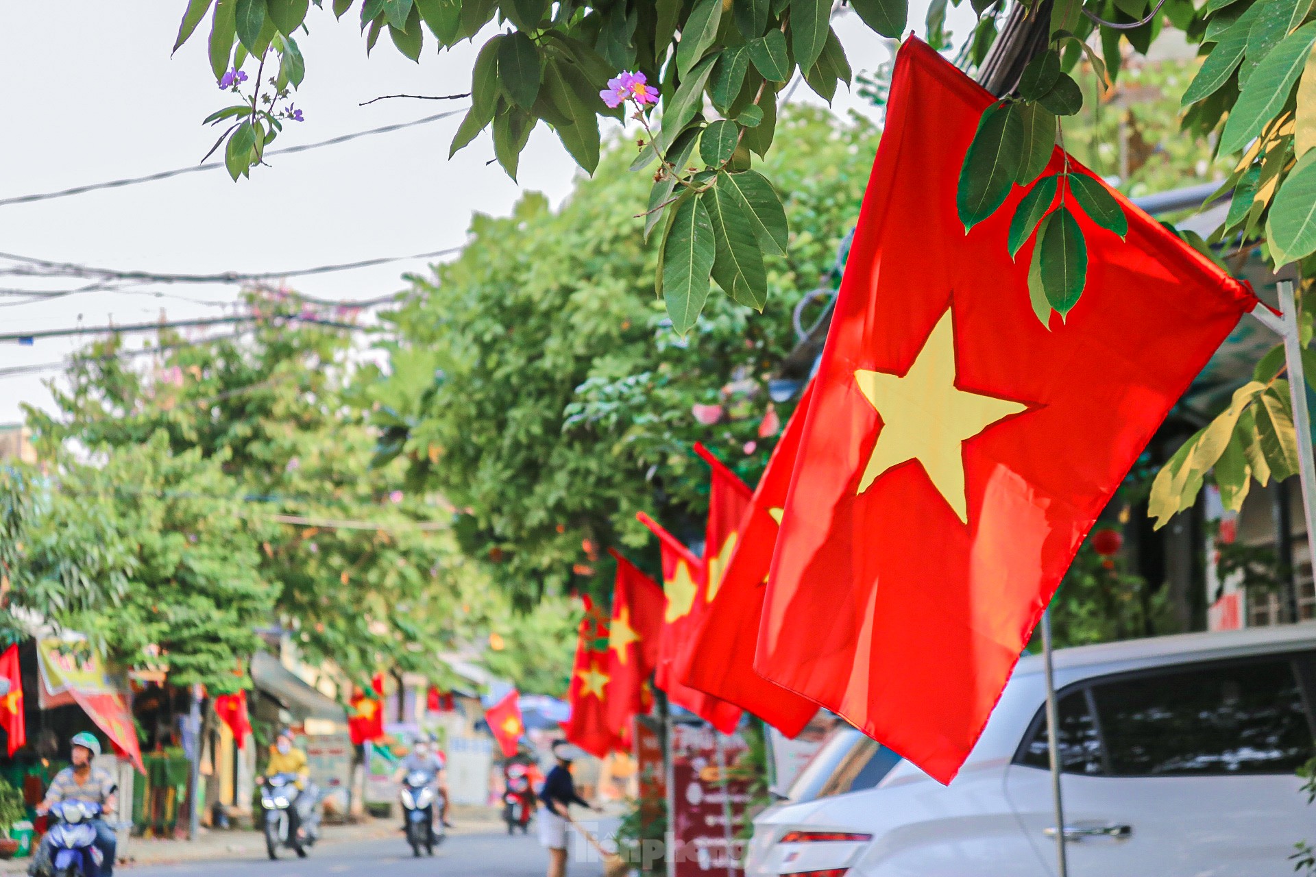 Phố phường Đà Nẵng rực rỡ cờ hoa chào mừng Đại lễ 30/4 và 1/5- Ảnh 13.