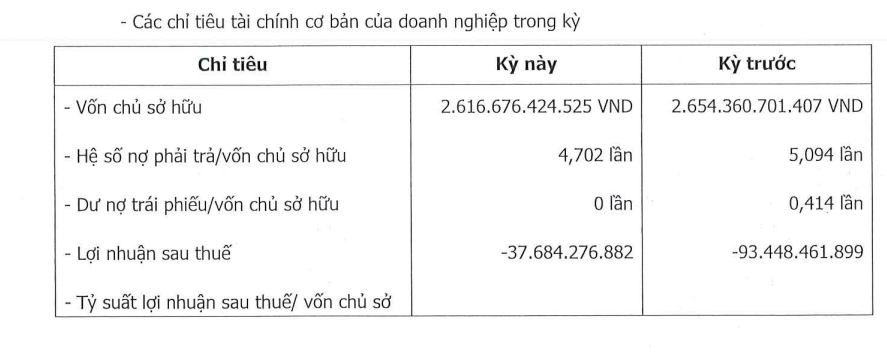 Một công ty bất động sản thuộc họ Novaland liên tục thua lỗ, 