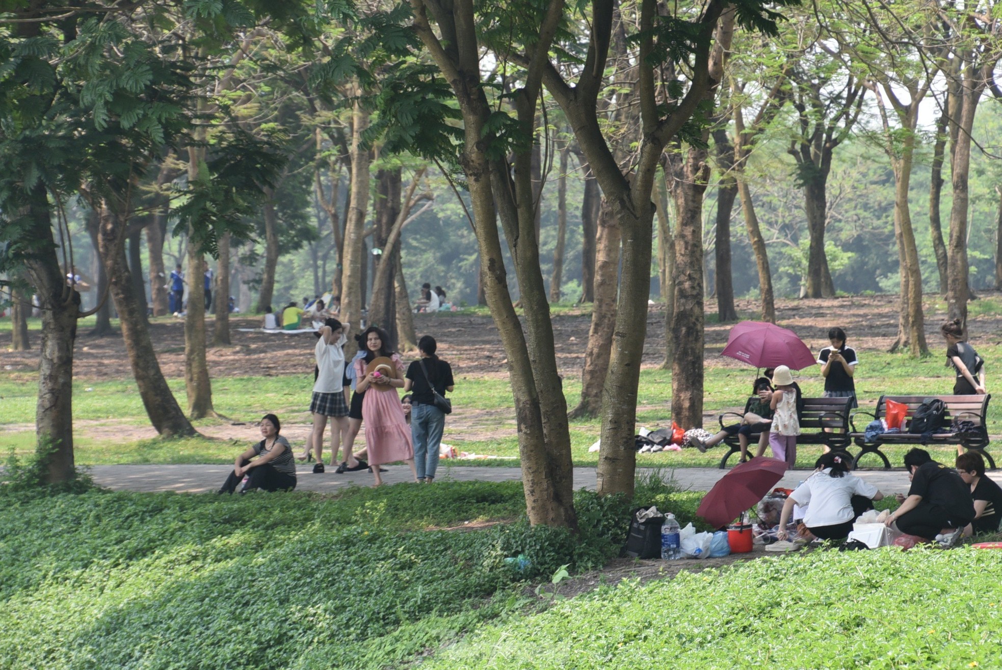 Các công viên lớn tại Hà Nội hút khách 'du lịch tại chỗ'- Ảnh 18.