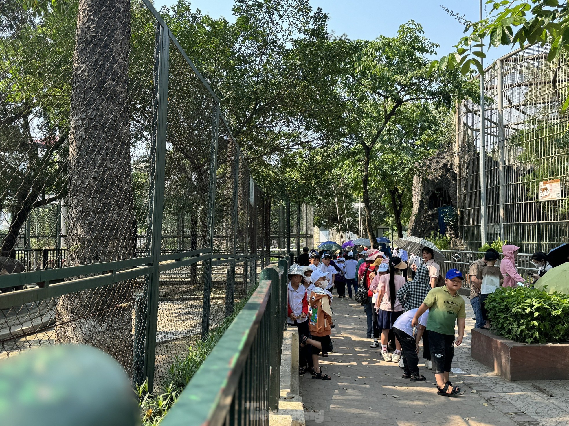 Các công viên lớn tại Hà Nội hút khách 'du lịch tại chỗ'- Ảnh 8.