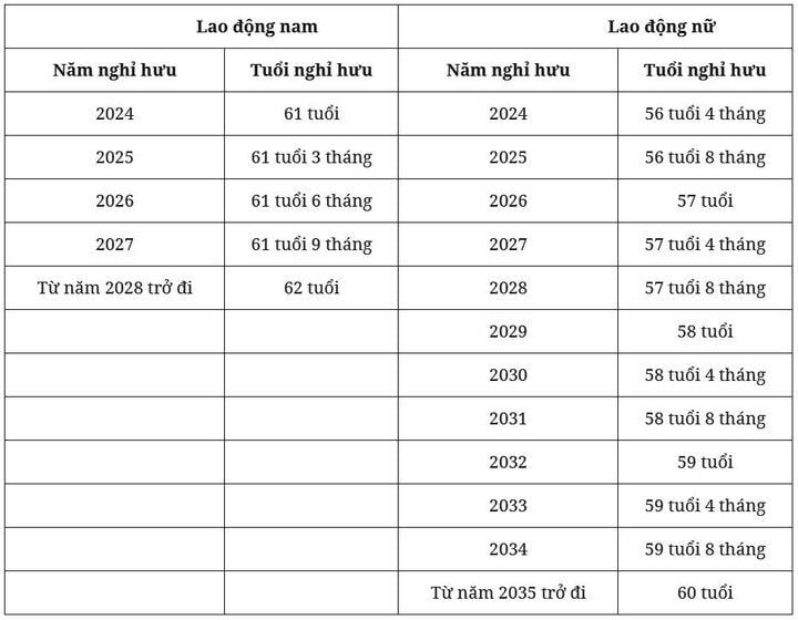 Tuổi nghỉ hưu của lao động nữ năm 2024 tăng lên bao nhiêu?- Ảnh 1.