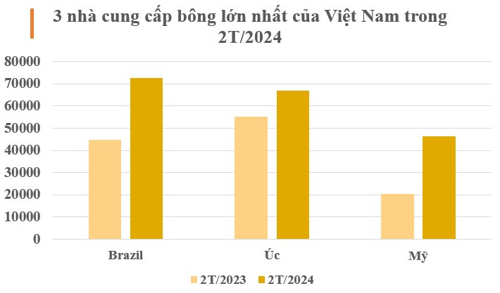3 ông trùm của thế giới đua nhau đưa ‘châu báu’ đến Việt Nam: Giá rẻ cực hấp dẫn, nước ta nhập khẩu đứng thứ 3 toàn cầu- Ảnh 2.