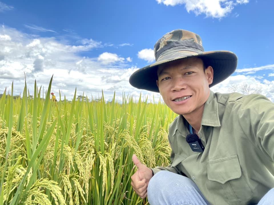 Ruộng lúa nước tại Angola sắp thu cả tấn thóc, bõ công chủ trang trại Việt khóc mếu nhờ hiến kế cứu cây- Ảnh 2.