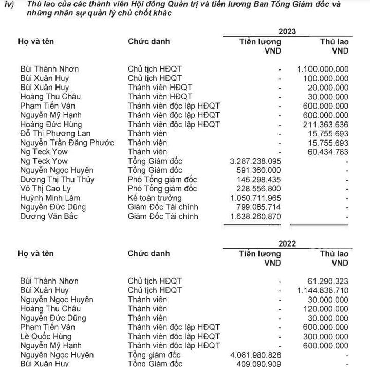 Bất ngờ mức lương sếp Vinamilk, Thế Giới Di Động, Novaland nhận trong năm 2023- Ảnh 4.