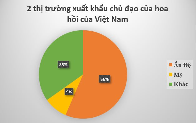 Sản vật triệu đô cực hiếm của thế giới mọc đầy tại Việt Nam: Ấn Độ, Mỹ đua nhau săn lùng, là loài cây có thể thu hoạch đến 80 năm- Ảnh 3.