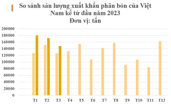 Thay thế Trung Quốc, một mặt hàng của Việt Nam đang lên cơn sốt khắp châu Á: Philippines tăng nhập khẩu gấp 4 lần, thu về hơn 200 triệu USD trong quý 1- Ảnh 2.