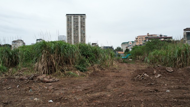 Dỡ rào dự án bỏ hoang của Tập đoàn Tân Hoàng Minh để xây vườn hoa- Ảnh 3.