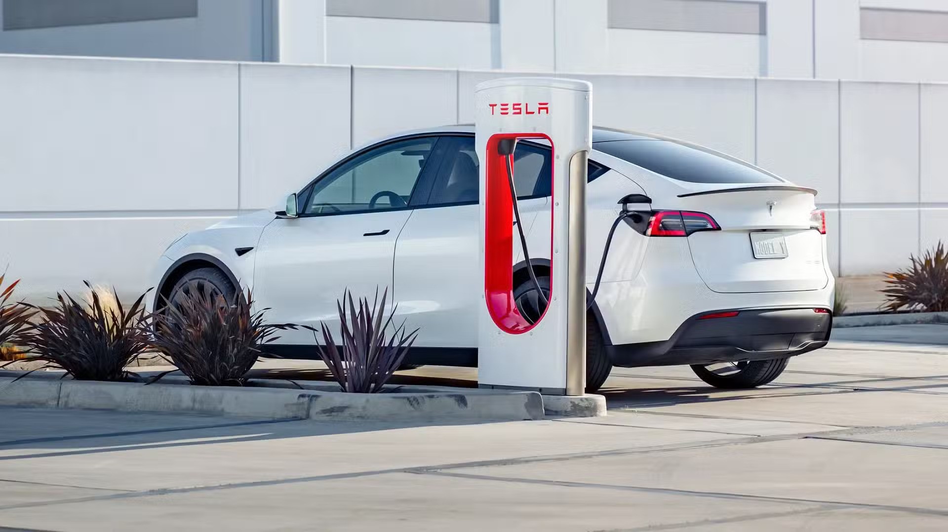 Tesla sa thải toàn bộ nhân viên mảng sạc xe điện hứa hẹn là 'mỏ vàng' tương lai, cả làng ô tô 'đứng hình'- Ảnh 3.