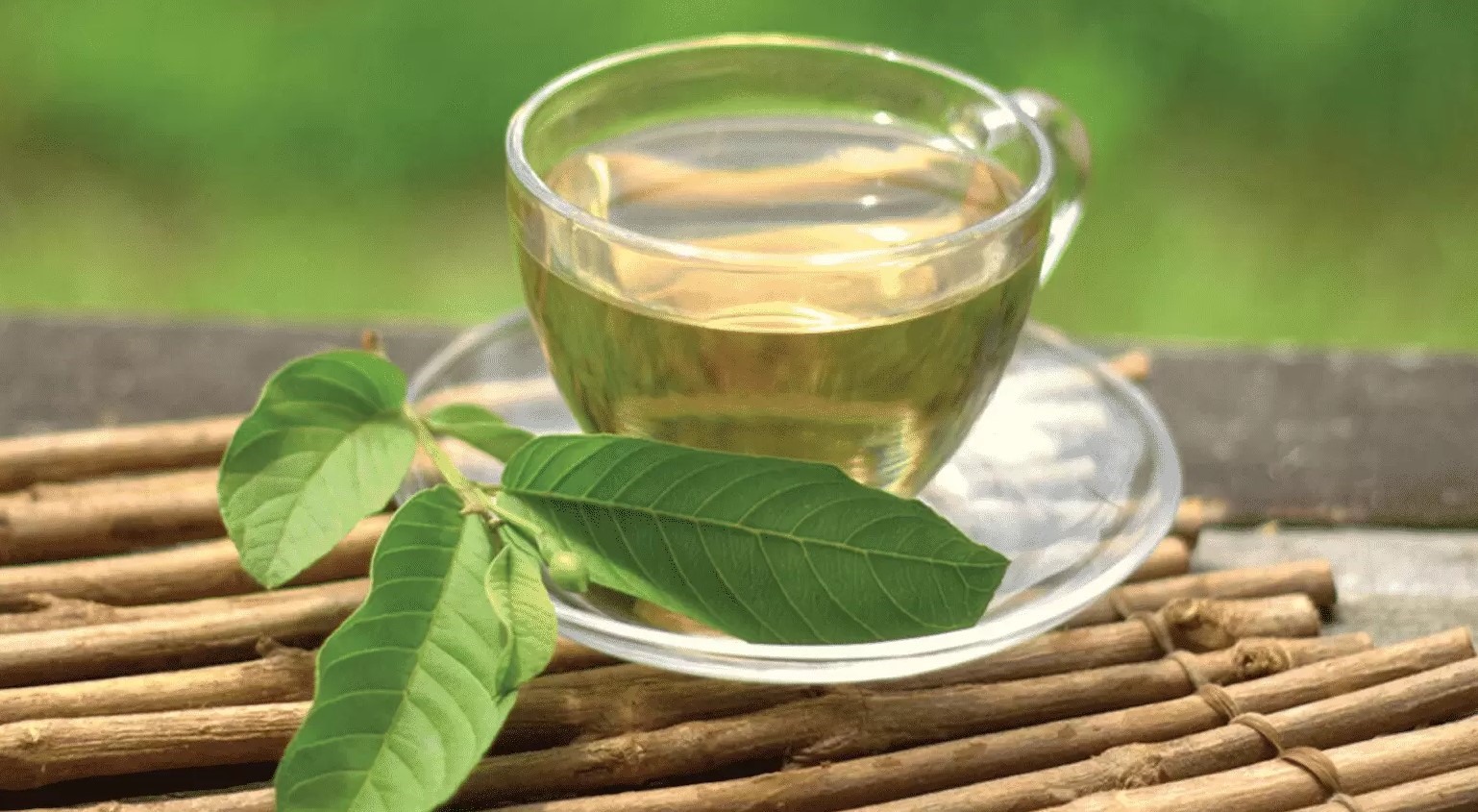 1 loại lá phơi khô, pha nước thành “thuốc” hạ đường huyết tự nhiên, khắc tinh của mỡ máu: Rất sẵn ở Việt Nam- Ảnh 2. 1 loại lá phơi khô, pha nước thành “thuốc” hạ đường huyết tự nhiên, khắc tinh của mỡ máu: Rất sẵn ở Việt Nam- Ảnh 2.