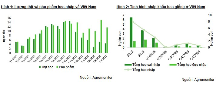 Giá heo tăng vùn vụt, bầu Đức lại ngậm ngùi 'nhỡ sóng' vì lỡ dừng nuôi từ 2023- Ảnh 1.