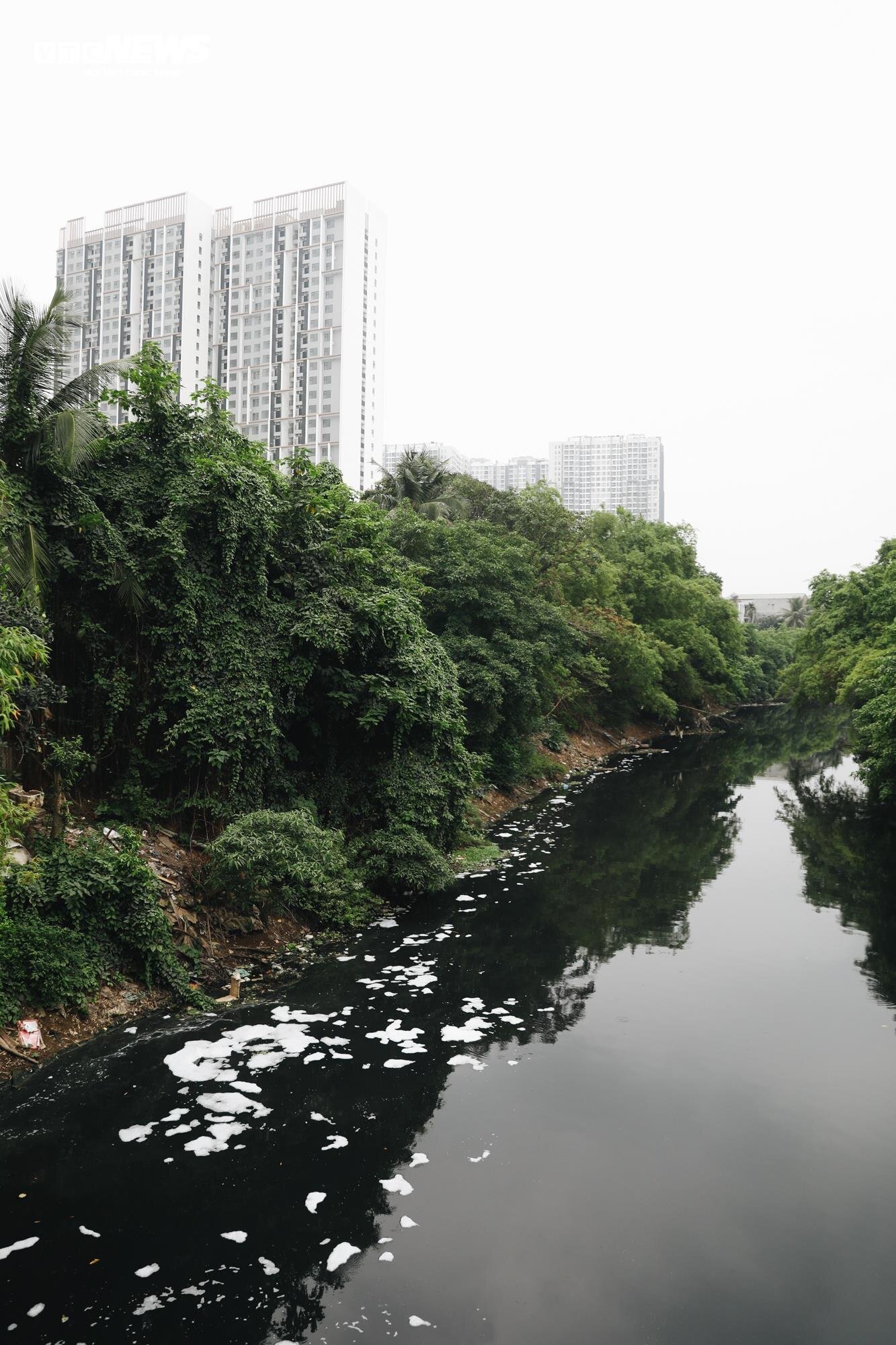 1km 40 họng xả thải, sông Tô Lịch thành cống nước đen lộ thiên- Ảnh 17.