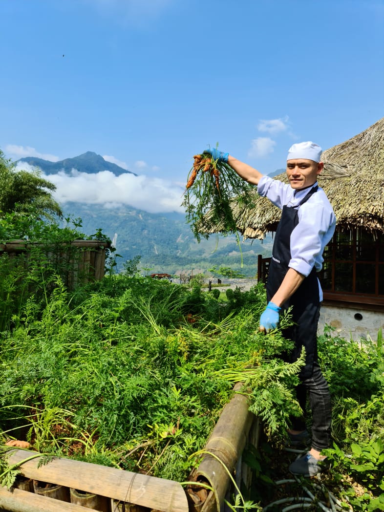 Ngọn đồi kỳ lạ giá phòng 6-8 triệu đồng mỗi đêm ở Sa Pa: Tiện nghi tối giản, vì sao đắt đỏ tới vậy?