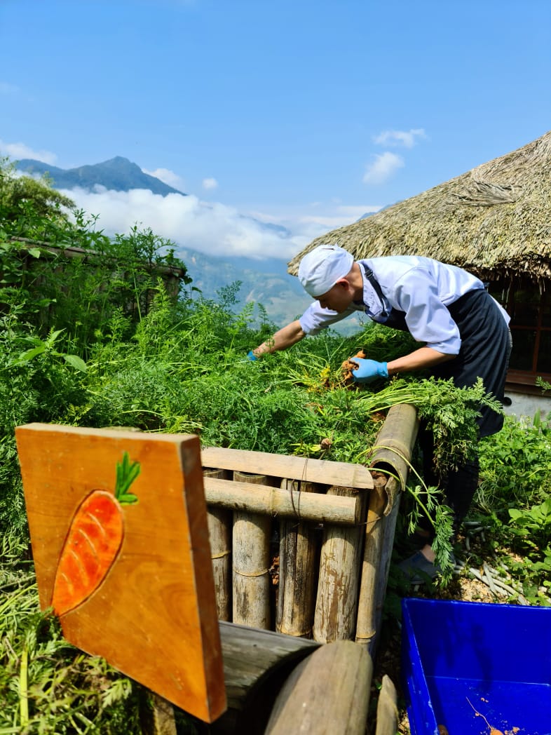 Ngọn đồi kỳ lạ giá phòng 6-8 triệu đồng mỗi đêm ở Sa Pa: Tiện nghi tối giản, vì sao đắt đỏ tới vậy?