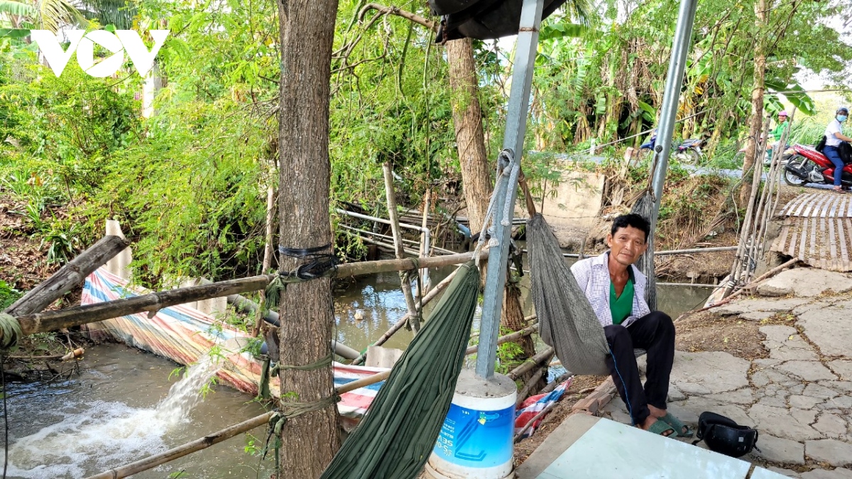 Thanh long tăng giá, nhà vườn ngày đêm canh giữ cây- Ảnh 5.