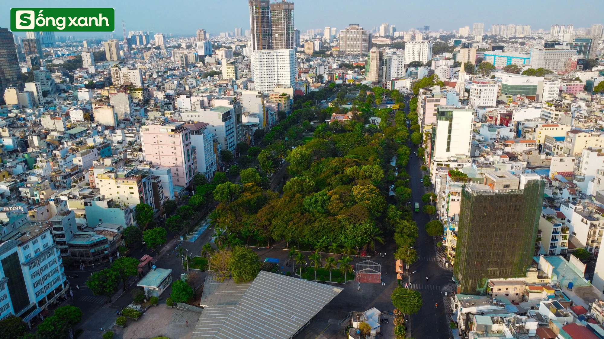 Những 'khu rừng' xanh mát quý như ngọc ở thành phố giàu có và đông dân nhất Việt Nam- Ảnh 1.