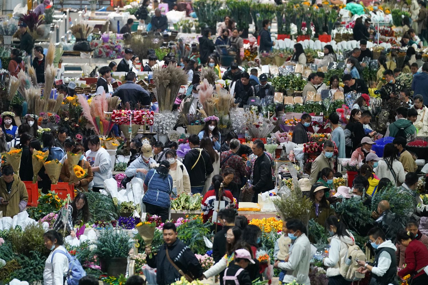 Dạo một vòng chợ hoa hoành tráng nhất Trung Quốc: Hơn 1.600 loại hoa thỏa sức mà lựa, giá rẻ chưa từng thấy- Ảnh 1.