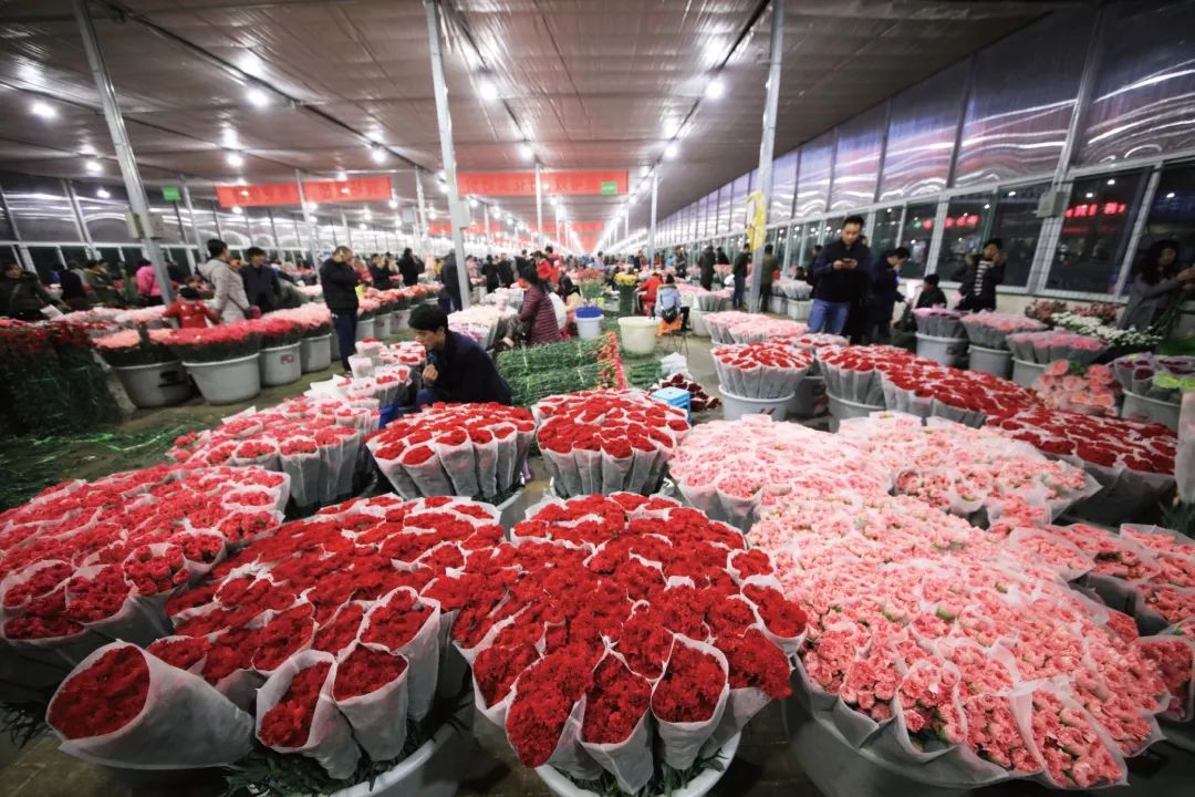 Dạo một vòng chợ hoa hoành tráng nhất Trung Quốc: Hơn 1.600 loại hoa thỏa sức mà lựa, giá rẻ chưa từng thấy- Ảnh 13.
