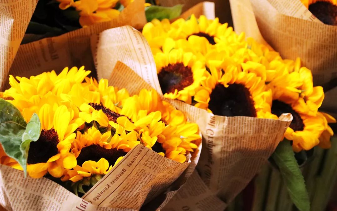 Dạo một vòng chợ hoa hoành tráng nhất Trung Quốc: Hơn 1.600 loại hoa thỏa sức mà lựa, giá rẻ chưa từng thấy- Ảnh 8.