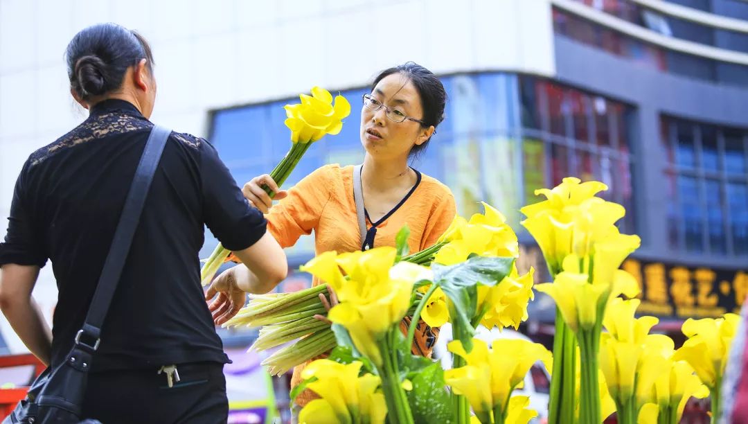 Dạo một vòng chợ hoa hoành tráng nhất Trung Quốc: Hơn 1.600 loại hoa thỏa sức mà lựa, giá rẻ chưa từng thấy- Ảnh 5.