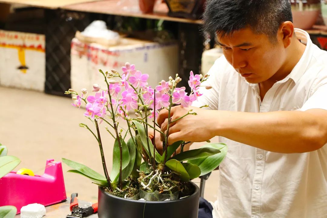 Dạo một vòng chợ hoa hoành tráng nhất Trung Quốc: Hơn 1.600 loại hoa thỏa sức mà lựa, giá rẻ chưa từng thấy- Ảnh 7.