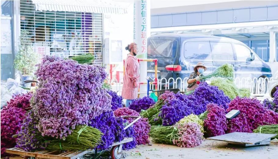Dạo một vòng chợ hoa hoành tráng nhất Trung Quốc: Hơn 1.600 loại hoa thỏa sức mà lựa, giá rẻ chưa từng thấy- Ảnh 12.