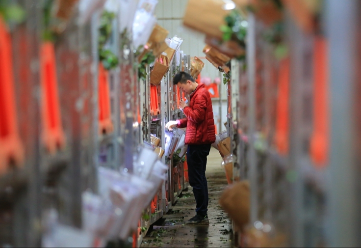 Dạo một vòng chợ hoa hoành tráng nhất Trung Quốc: Hơn 1.600 loại hoa thỏa sức mà lựa, giá rẻ chưa từng thấy- Ảnh 21.