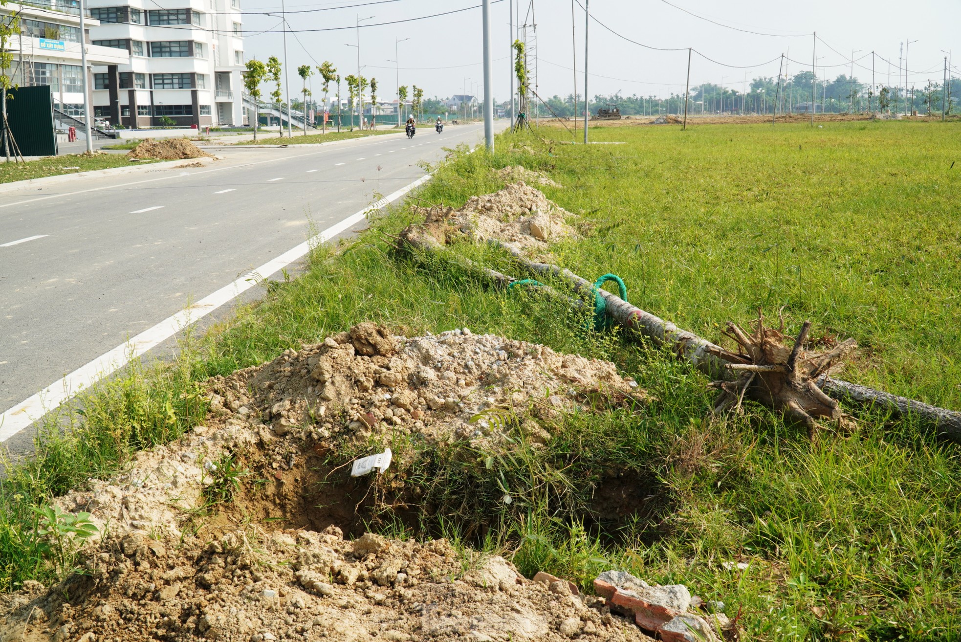 Cây xanh chết hàng loạt tại dự án đô thị xanh 'nghìn tỷ'- Ảnh 12.